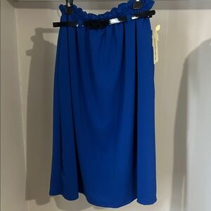 Vivienne Grace Cobalt Blue A-Line Skirt